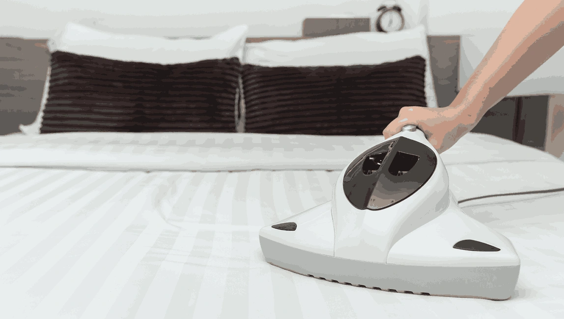 Professional Mattress Cleaning Braeside